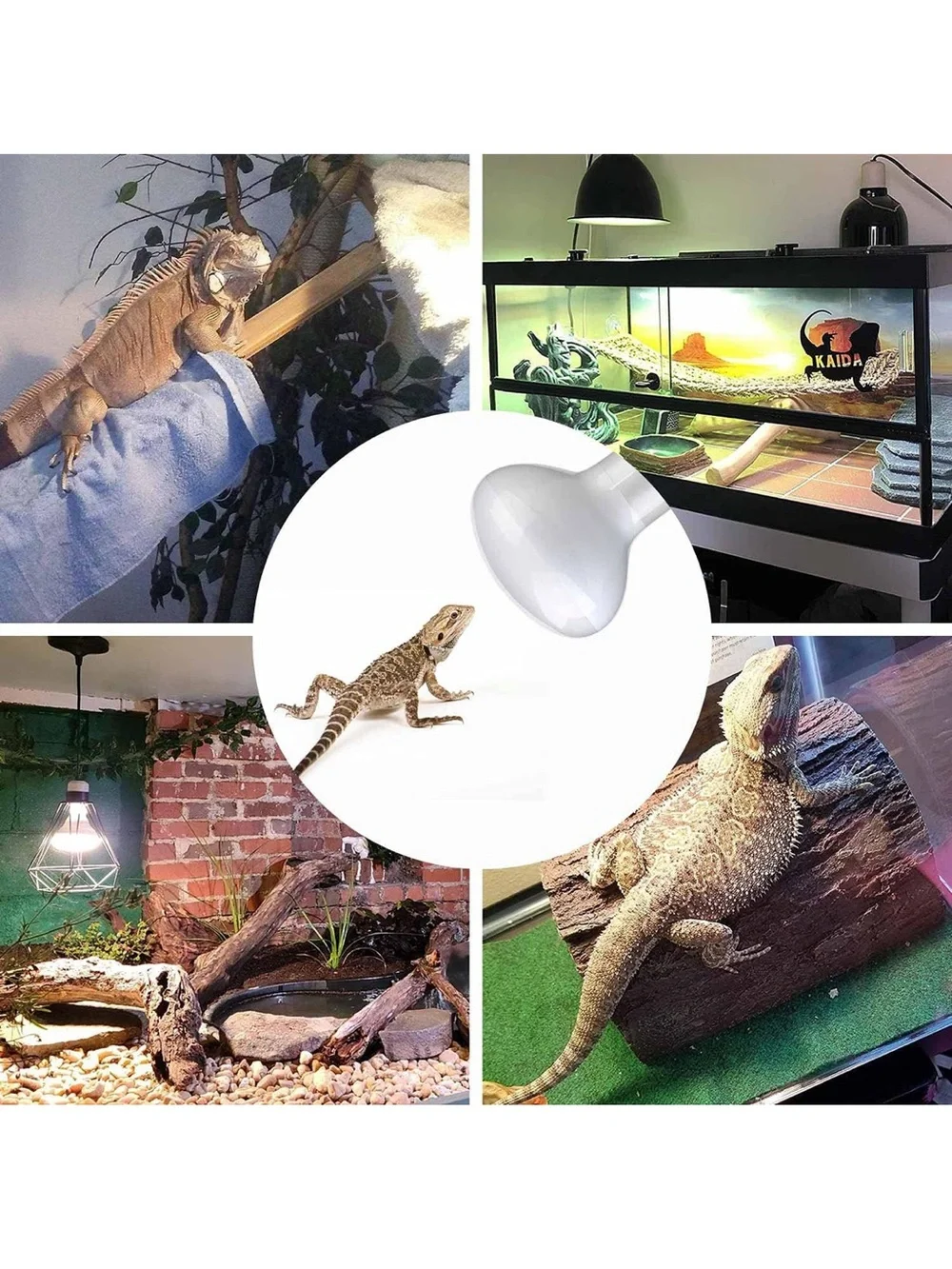 WUHOSTAM 2 Pack 75W Reptile UVA Infrared Heat Lamp Spot Bulb Soft White Light